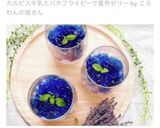 カルピス牛乳とバタフライピーで夏色ゼリー作り方25写真