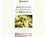 茎まで食べちゃうブロッコリーフライ♡作り方13写真