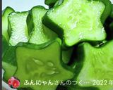 簡単!!白だしで♪胡瓜の浅漬け作り方13写真