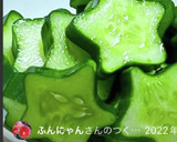 簡単!!白だしで♪胡瓜の浅漬け作り方13写真