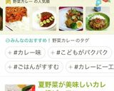 ★サバ缶で夏野菜カレー作り方12写真