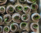 ケチャップで子ども喜ぶ☆イワシの大葉巻き作り方4写真