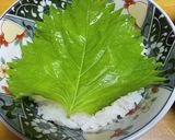 しらすたっぷりの海鮮丼作り方2写真