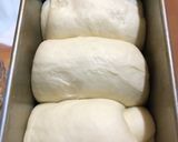 天然酵母手捏ね食パン1.5斤。作り方25写真