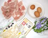 もやしチャンプルー♪簡単夏の暑さ漢方薬膳作り方1写真