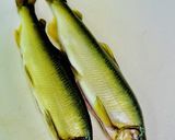 オーブンで鮎のハーブ焼き作り方1写真