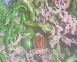 ゴーヤ、豆板醬を入れた、簡単青椒肉絲風作り方9写真