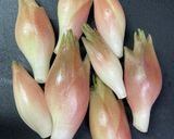 簡単・無限みょうがナムル作り方1写真
