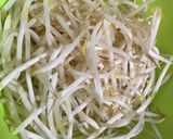 節約スピード副菜！もやしのツナ和え作り方2写真