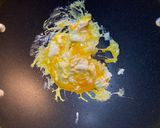 Pad Thai Udon作り方9写真