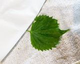 家庭菜園の青じそで韓国風即席漬け作り方2写真
