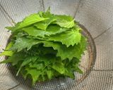 家庭菜園の青じそで韓国風即席漬け作り方4写真