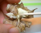 韓国SWEETS　コッカムサム作り方3写真