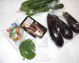 夏野菜の甘酢漬け♪簡単漢方薬膳作り方1写真