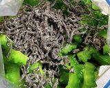 叩ききゅうりとゴーヤの塩昆布・ツナ和え作り方7写真