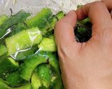 叩ききゅうりとゴーヤの塩昆布・ツナ和え作り方9写真