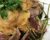 ダイコンおろしたっぷりのカツオのたたき丼作り方3写真