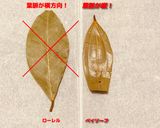 本格的（っぽい）ガラムマサラ作り方6写真