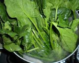 吃驚！ほうれん草の茹で方作り方1写真
