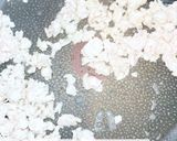 そぼろ厚揚げこニラだれがけ作り方3写真