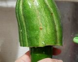 【実験料理】二重瓜漬け作り方2写真