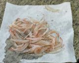 簡単#白エビの唐揚げ作り方1写真