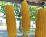 甘い！農場直伝！とうもろこしの茹で方作り方6写真