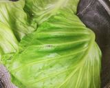 【同時3品】ロールキャベツ＆ハンバーグ他作り方4写真