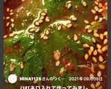 大葉のコチュジャン漬け作り方13写真