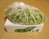 水出し枝豆水作り方1写真