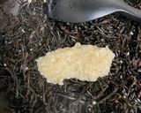 ひじきのオイル煮作り方3写真