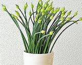 花ニラとトマトの和えるだけキムチ♪作り方1写真
