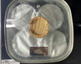 お鍋で蒸す！喫茶店の固めプリン作り方13写真
