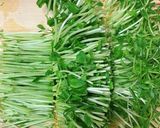 青臭さ感じない！豆苗の塩麹胡麻和え作り方2写真