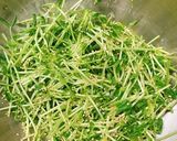 青臭さ感じない！豆苗の塩麹胡麻和え作り方6写真