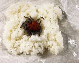 梅と塩吹昆布のおにぎり作り方7写真