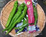 【野菜ソムリエ】パリパリ万願寺甘とう作り方4写真