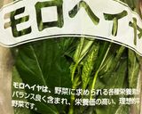 鶏胸肉のモロヘイヤ巻きオイマヨ胡麻ソース作り方4写真