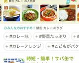★サバ缶で夏野菜カレー作り方13写真
