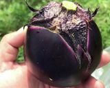 白なす賀茂なすステーキ☆☆切って焼くだけ作り方7写真