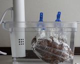 【低温調理 】 ブリスケット風 BBQ作り方3写真