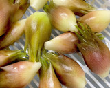 キャベツ みょうが かきたま味噌汁^^作り方10写真