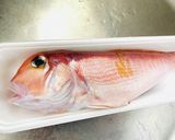 【お魚】捌いた後の処理作り方1写真