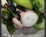 カンタン酢で、胡瓜とタコとワカメの酢の物作り方11写真