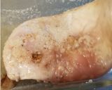 鶏肉とキウイのゼリー寄せ作り方3写真