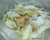 簡単♪白菜とシーチキンのサラダ作り方2写真