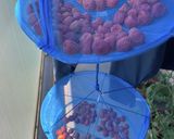 南高梅の梅干し♪作り方8写真