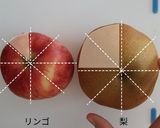 飲む果実酢で梨とりんごのミックスジュース作り方1写真