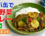 ★サバ缶で夏野菜カレー作り方14写真