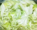 簡単♪白菜とシーチキンのサラダ作り方3写真
